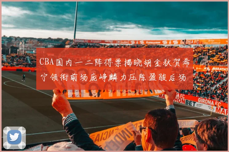 CBA国内一二阵得票揭晓胡金秋贺希宁领衔前场庞峥麟力压陈盈骏后场