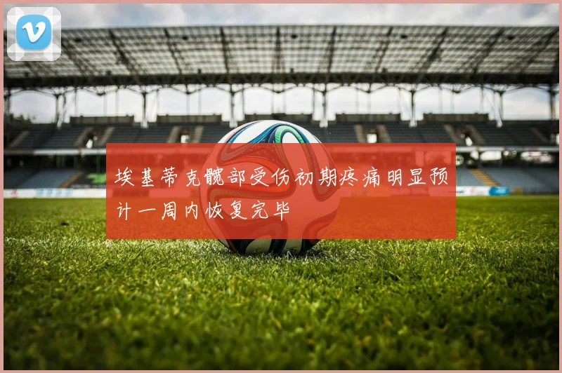 埃基蒂克髋部受伤初期疼痛明显预计一周内恢复完毕