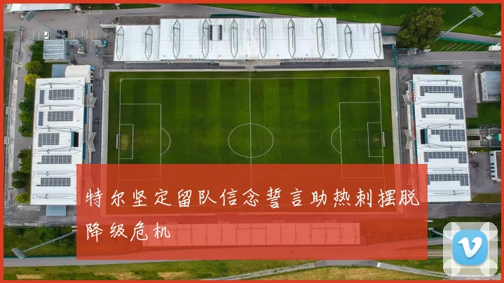 特尔坚定留队信念誓言助热刺摆脱降级危机
