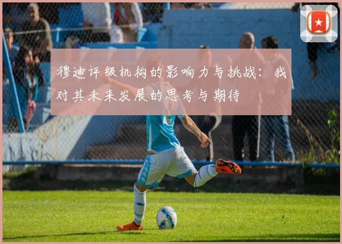 穆迪评级机构的影响力与挑战：我对其未来发展的思考与期待